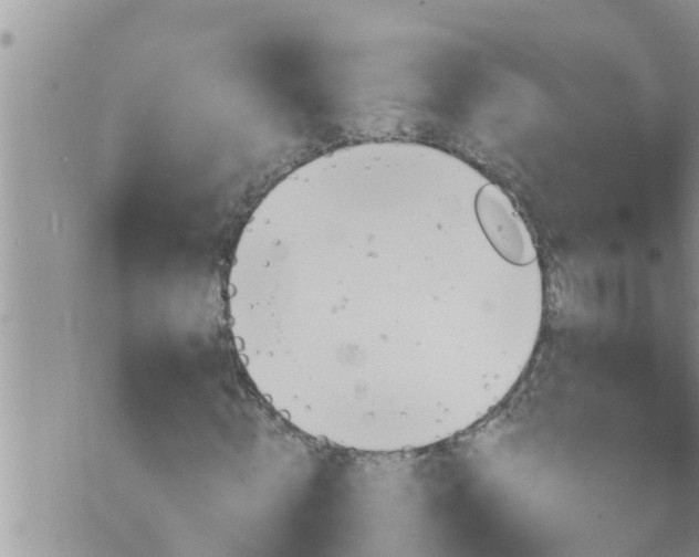 X0000073730820200608101927