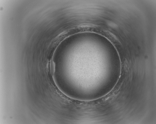 X0000073730821200608101927