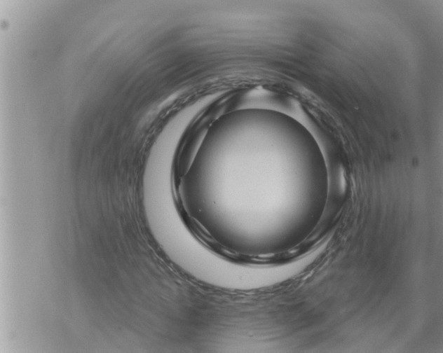 X0000073730822200608101927