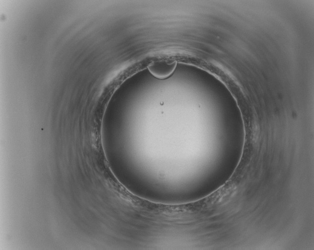 X0000073730823200608101927