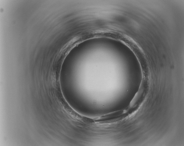 X0000073730825200608101927