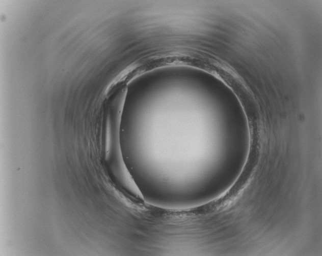 X0000073730826200608101927