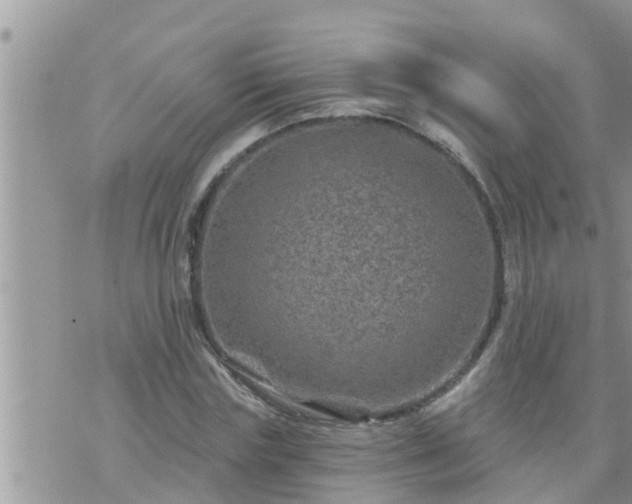 X0000073730827200608101927