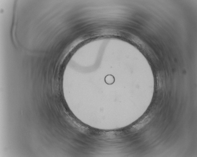 X0000073730828200608101927