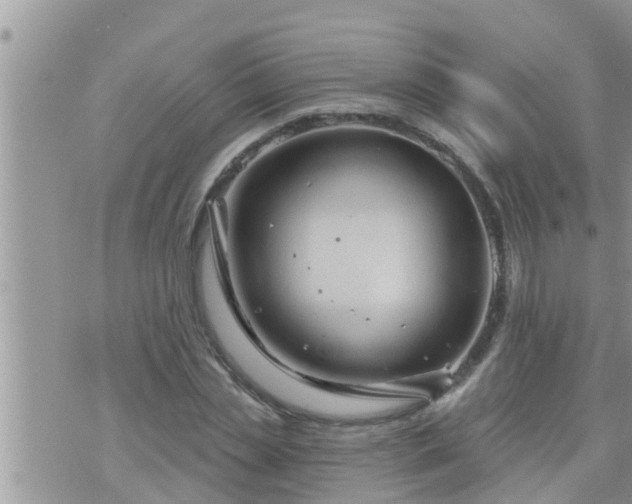 X0000073730829200608101927