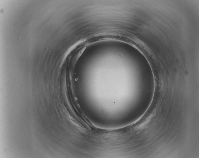 X0000073730830200608101927