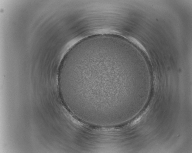 X0000073730831200608101927