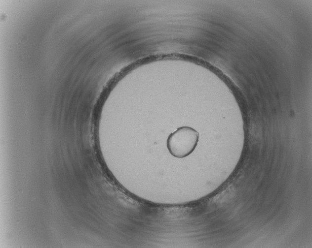 X0000073730832200608101927