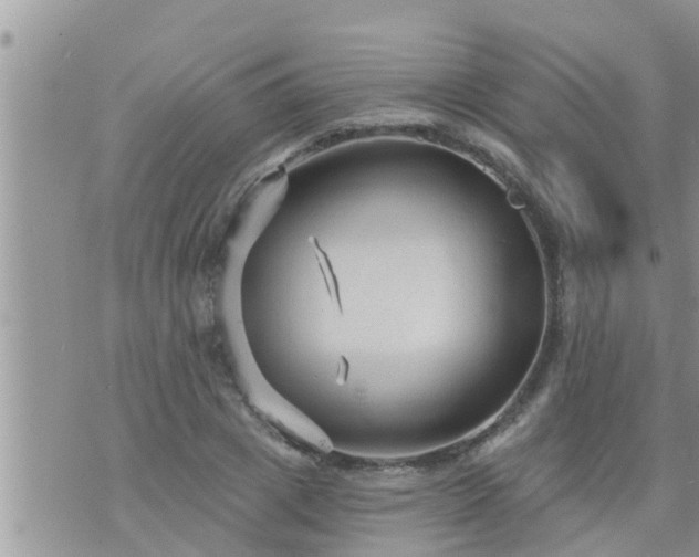 X0000073730833200608101927