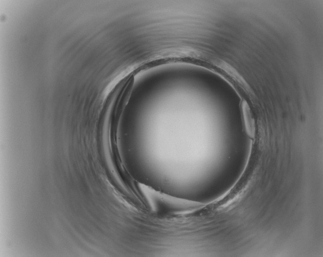 X0000073730834200608101928