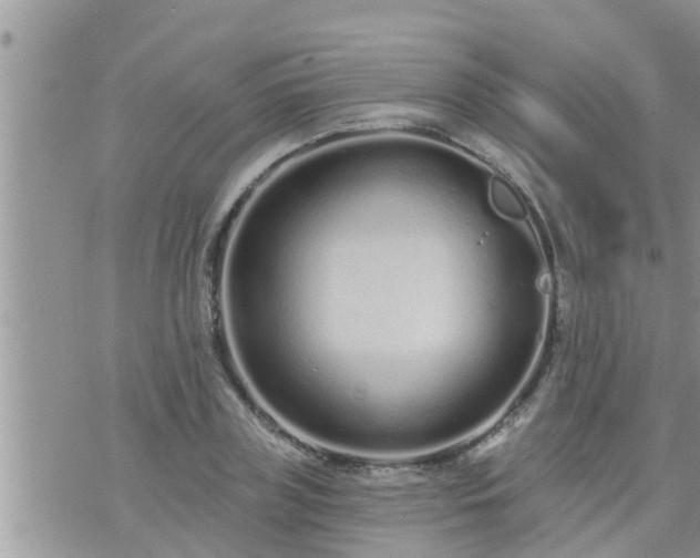 X0000073730835200608101928