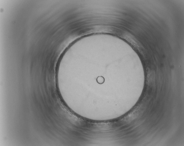 X0000073730836200608101928