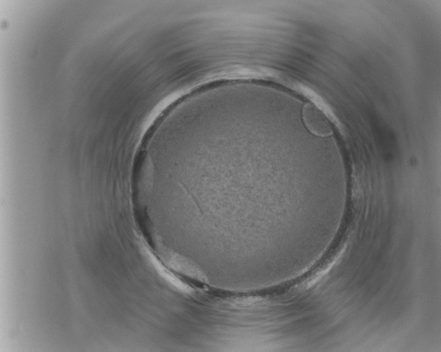 X0000073730837200608101928