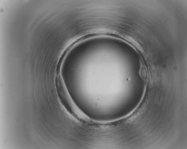 X0000073730839200608101928