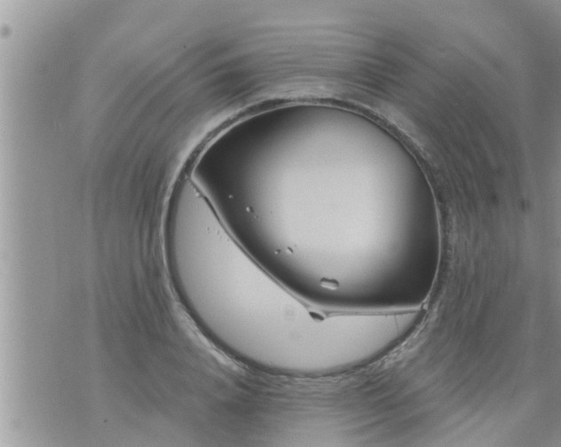 X0000073730840200608101928