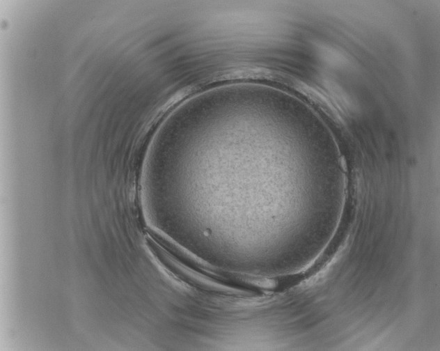 X0000073730841200608101928