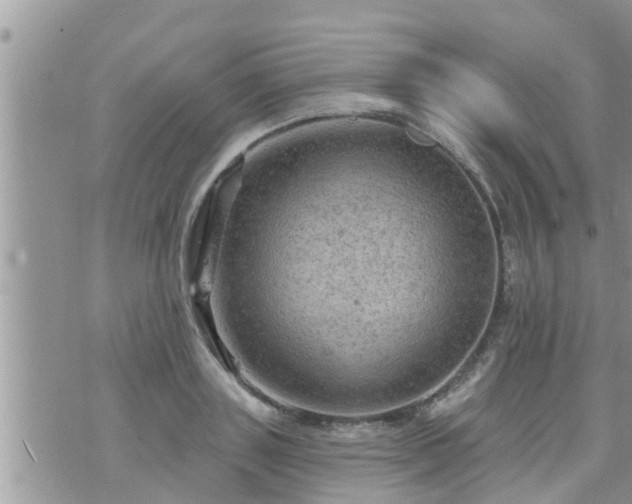 X0000073730843200608101928