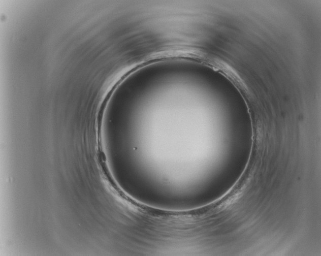 X0000073730844200608101928