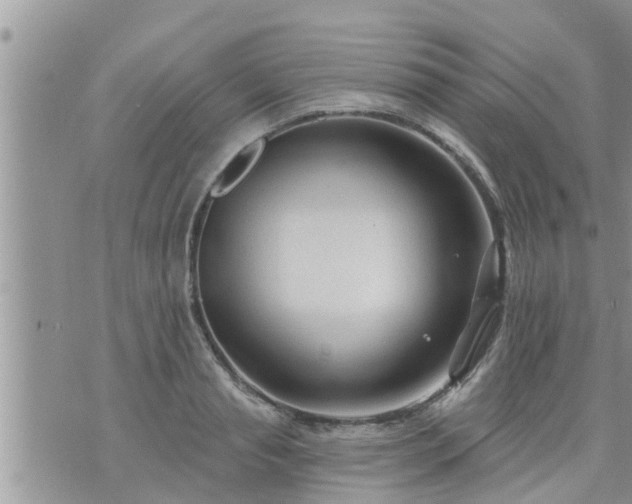 X0000073730845200608101928