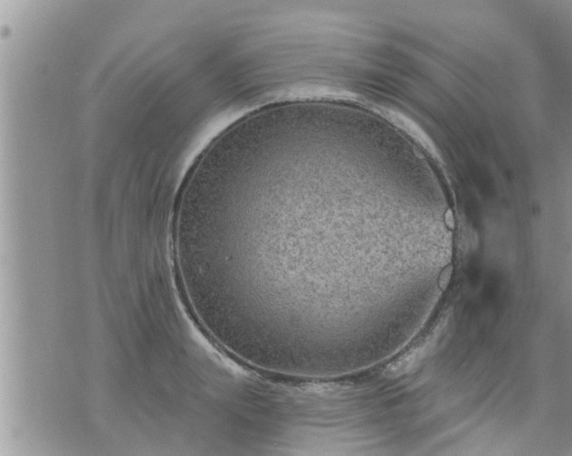 X0000073730847200608101928