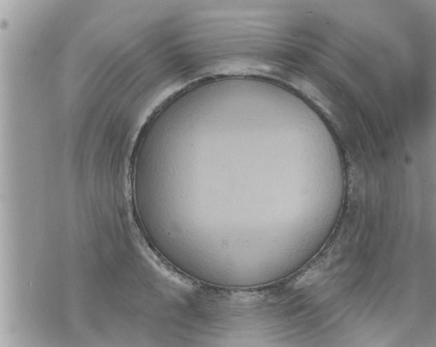 X0000073730848200608101928