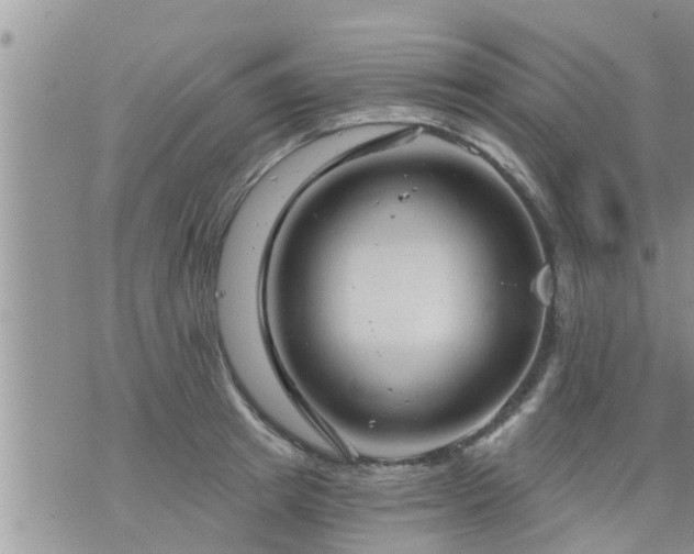 X0000073730849200608101928