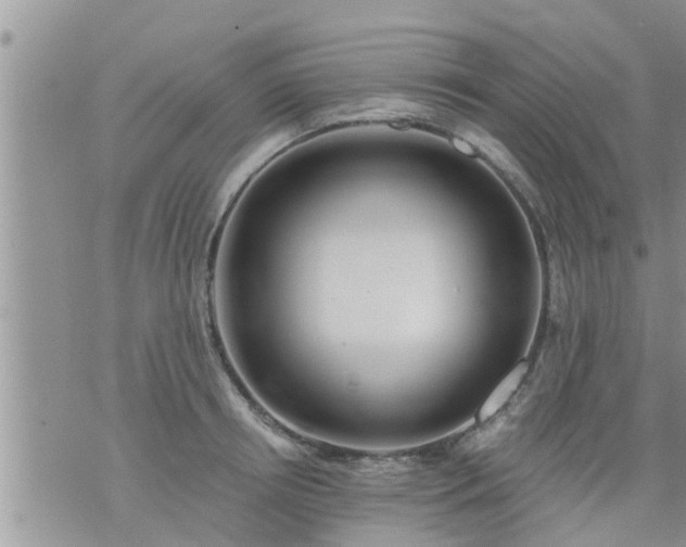 X0000073730850200608101928