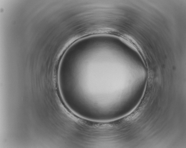 X0000073730851200608101928