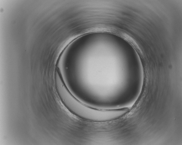 X0000073730852200608101928