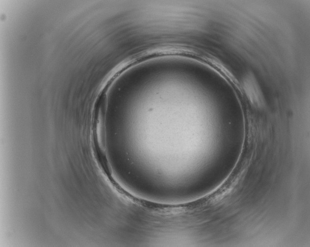 X0000073730853200608101928