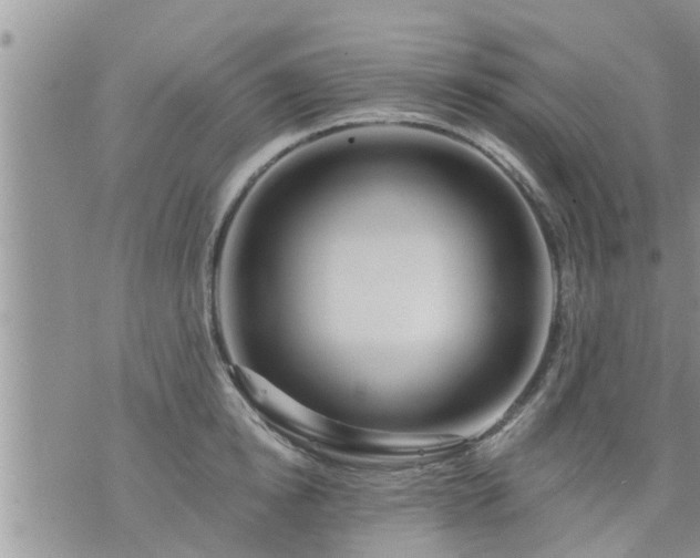 X0000073730854200608101928