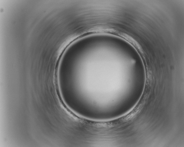 X0000073730855200608101928