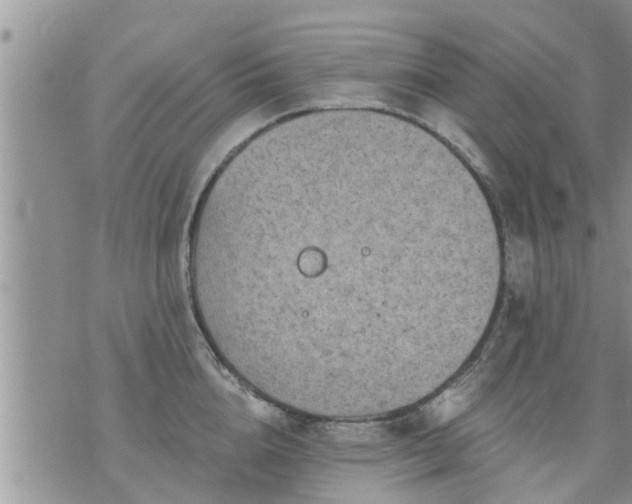 X0000073730856200608101928