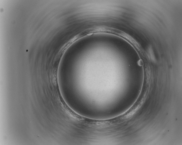 X0000073730857200608101928