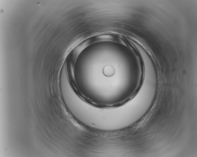 X0000073730858200608101928