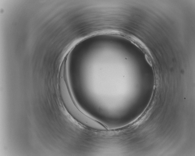 X0000073730860200608101928