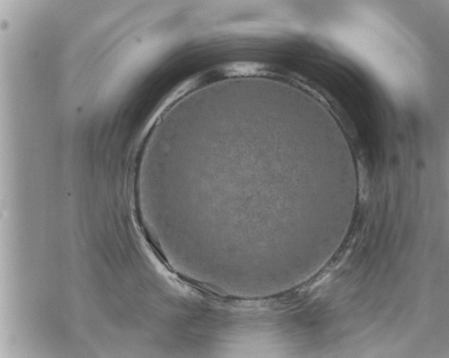 X0000073730861200608101928