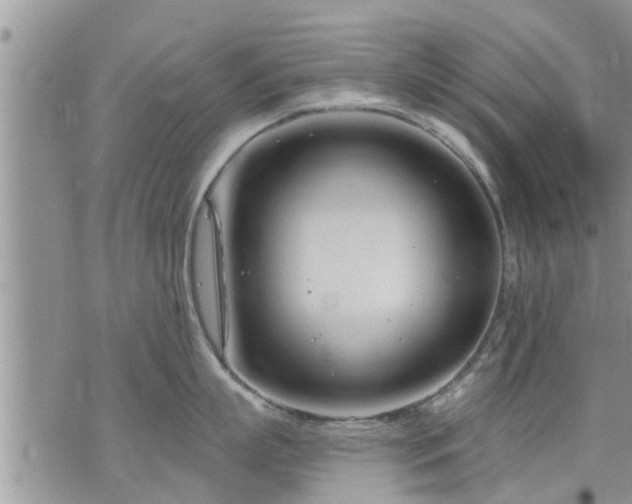 X0000073730863200608101928