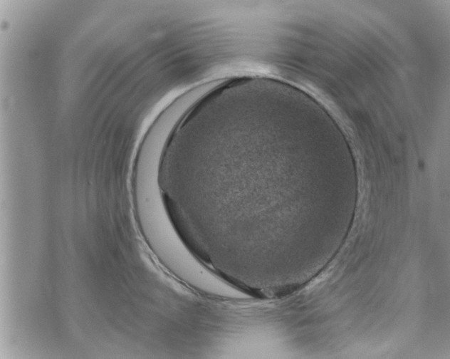 X0000073730864200608101928