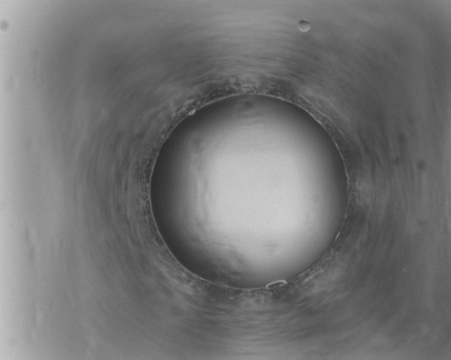 X0000073730865200608101927