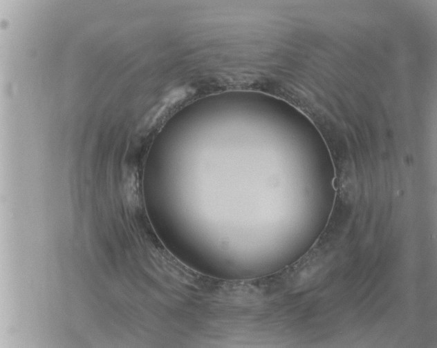 X0000073730866200608101927