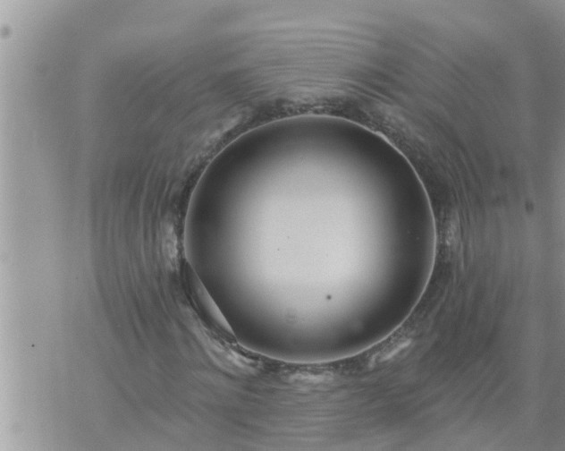 X0000073730868200608101927