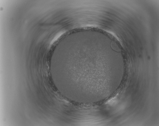 X0000073730871200608101927