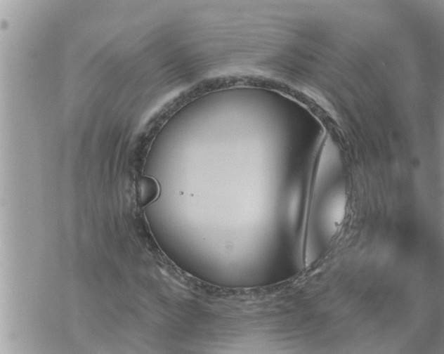 X0000073730872200608101927