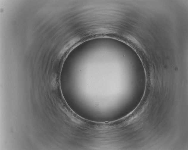 X0000073730873200608101927