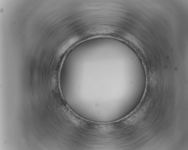 X0000073730874200608101927