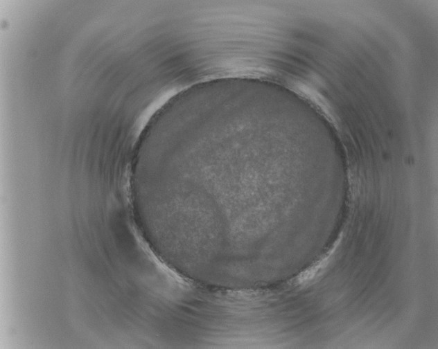 X0000073730875200608101927