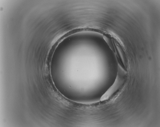 X0000073730876200608101927