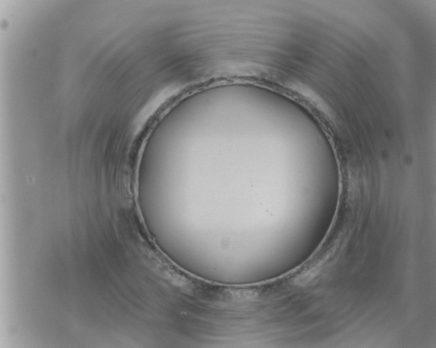 X0000073730878200608101927