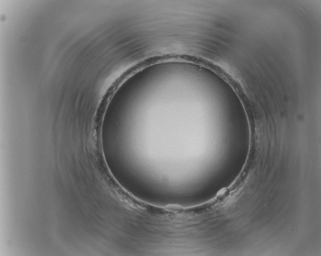 X0000073730879200608101927